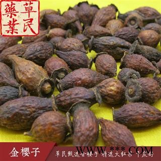 草民甄选金樱子红果 干度好 实物如图 专业批发量大从优图3