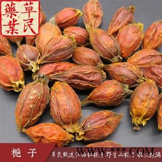 草民甄选江西红栀子 野生山栀子 粒大饱满 含量高 实物如图 专业批发量大从优图2