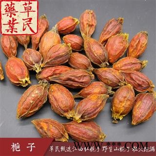 草民甄选江西红栀子 野生山栀子 粒大饱满 含量高 实物如图 专业批发量大从优图3