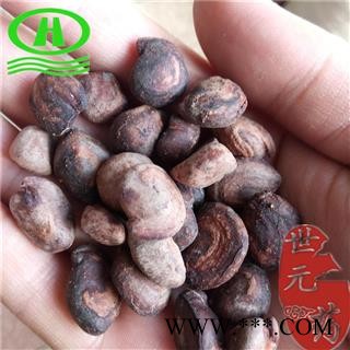 世元药业 马槟榔 马金囊 水槟榔 紫槟榔图2