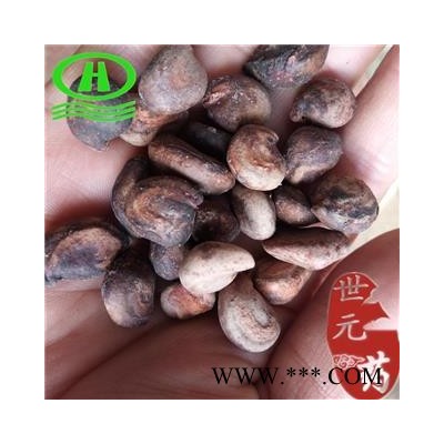 世元药业 马槟榔 马金囊 水槟榔 紫槟榔