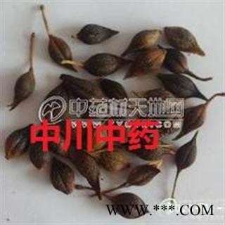 连翘   优质水煮青翘选货  产地山西图3