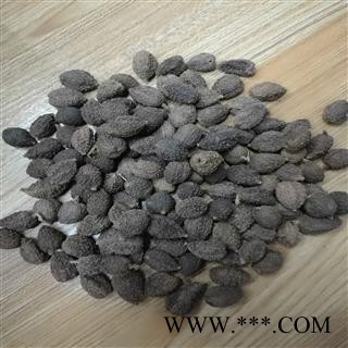 正品砂仁阳春砂精选高含量产地广东图3