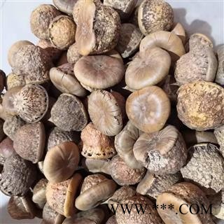 诺源药材行风流果 厚鳞柯 壮阳果图3