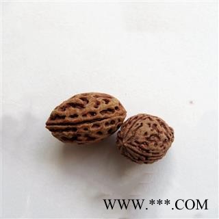 瑞森药材行 梅子核图3