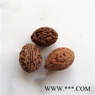 瑞森药材行 梅子核图2