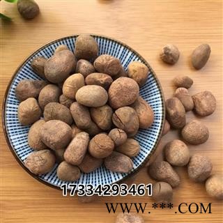 中药材 大枫子 麻风子 大风子 大疯子图3