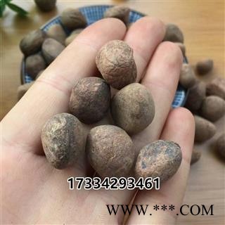 中药材 大枫子 麻风子 大风子 大疯子图4