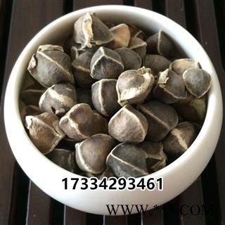 辣木籽 印度进口 辣木子 中药材 辣木树种子图2