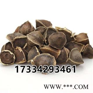 辣木籽 印度进口 辣木子 中药材 辣木树种子图4