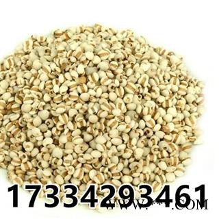 薏仁米 贵州薏米仁 薏米 苡米 苡仁 中药材图3