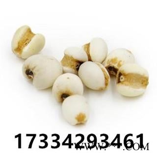 薏仁米 贵州薏米仁 薏米 苡米 苡仁 中药材图4