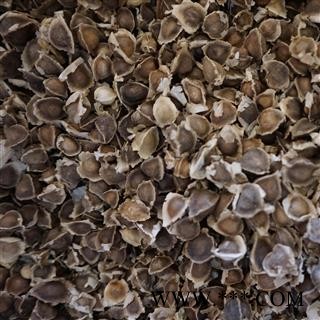 辣木籽 统装 产地 进口图2