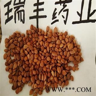 苦杏仁 统货   统货 产地 湖南省