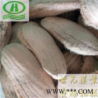 世元药业 芒果核 长寿果 新货【全品除尘中药】图2