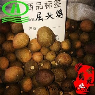 世元药业 屈头鸡 正品 保亭槌果藤图2