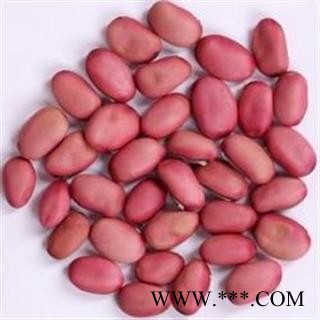 诺源药材行中药材精选红刀豆正品新货图2