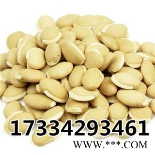 白扁豆  中药材 农家新鲜 生扁豆  市场直供图2