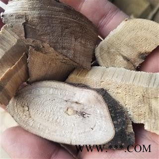 豆豉姜 别称 木浆子根 澄茄根 木姜子根 过山香 满山香 山苍子根图4