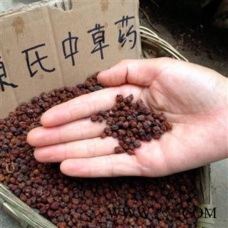 西五味子 南五味子好货 产地 陕西省秦岭山区图3