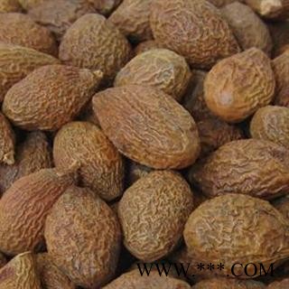 胖大海 长果 统货 产地 广西壮族自治区南宁市市辖区图2