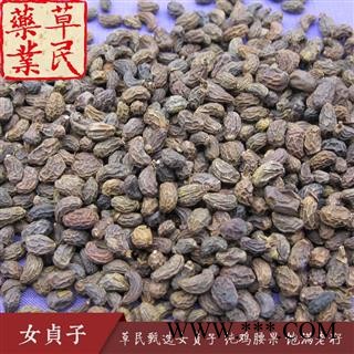 草民甄选女贞子 纯鸡腰果 饱满老籽 实物如图 专业批发量大从优图2