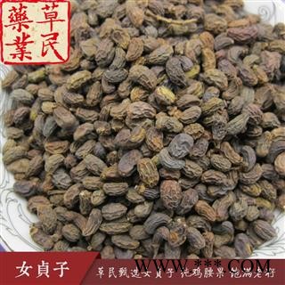 草民甄选女贞子 纯鸡腰果 饱满老籽 实物如图 专业批发量大从优图4