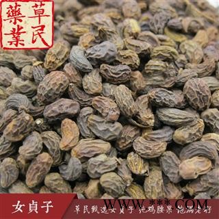 草民甄选女贞子 纯鸡腰果 饱满老籽 实物如图 专业批发量大从优图3