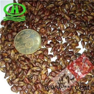 世元药业 葡萄籽 生子 未发酵采集  葡萄子图2