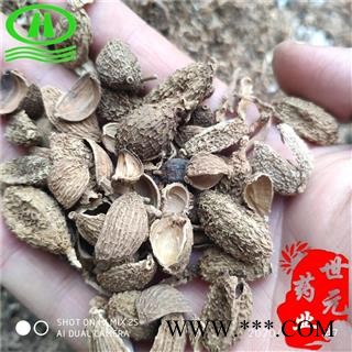 世元药业 砂仁壳 别称 进口砂壳 砂仁皮 壳砂壳 缩砂壳图2