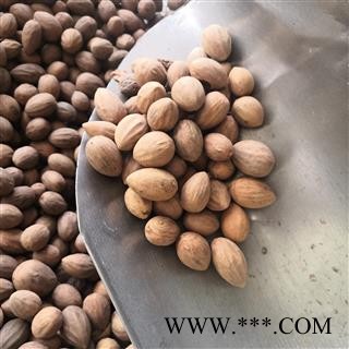 诺源药材行中药材正品榧子 香榧 榧实 玉山果 赤果 玉榧图2