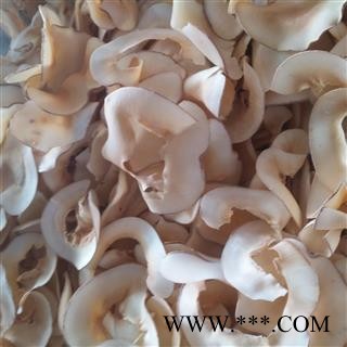 诺源中药材野生海底椰  药食同源图2