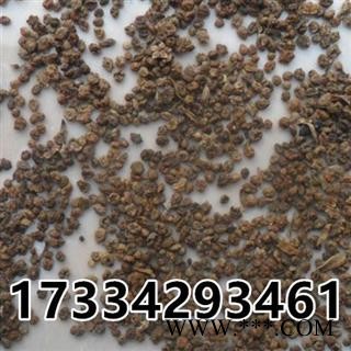 地肤子 地麦 扫帚子 地夫子 中药材图2