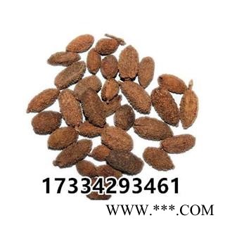 壳砂仁  中药材市场 香砂仁 砂仁 香料 砂仁 进口小豆蔻图4