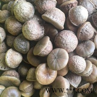 瑞森药材行风流果 壮阳果 龟头子新货图3