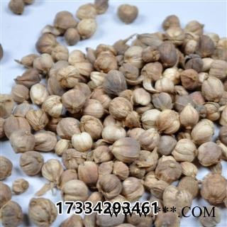 白豆蔻  豆蔻 白豆蔻仁 中药材 壳蔻 白蔻图2