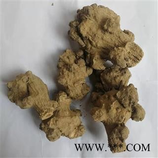 瑞森药材行菊三七 金不换 紫三七 铁罗汉今年新货实物拍照图3