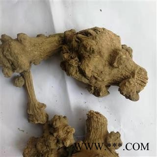 瑞森药材行菊三七 金不换 紫三七 铁罗汉今年新货实物拍照图2