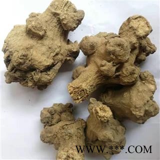 瑞森药材行菊三七 金不换 紫三七 铁罗汉今年新货实物拍照图4