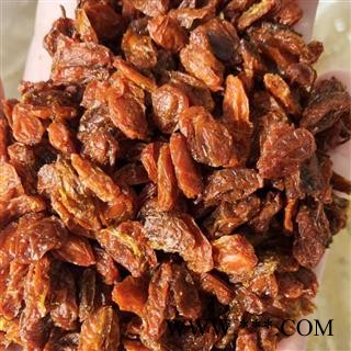 沙棘 沙棘果选货 产地 新疆维吾尔自治区昌吉回族自治州玛纳斯县 买好药找娟子图3