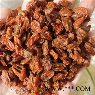 沙棘 沙棘果选货 产地 新疆维吾尔自治区昌吉回族自治州玛纳斯县 买好药找娟子图2