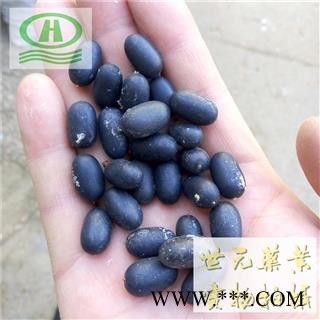 世元药业 双肾子 苦石莲子  南蛇藤果 【全品除尘中药】图2