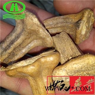 世元药业 南瓜蒂 南瓜柄 正品 优质图1