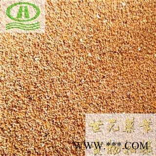 世元药业 柏子仁 新货(廉价品掺染色大米)正品 别称柏实 柏仁 侧柏子图2