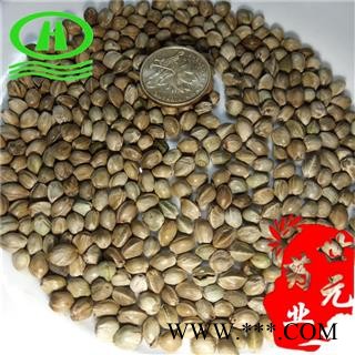 世元药业 火麻子 正品 优质 大颗粒 带壳 另有火麻仁图2