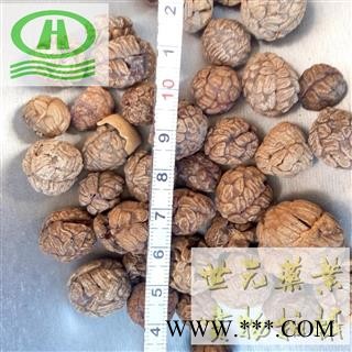 世元药业 草蔻 小草寇 草叩 草扣 海南山姜 土砂仁 假砂仁图2