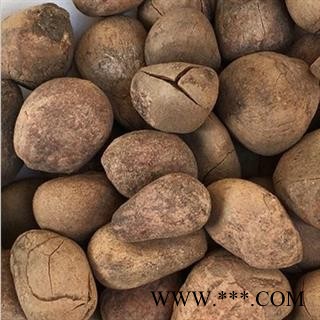 诺源药材行中药材广西大风子  大枫子仁图2