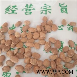 诺源药材行栝楼 瓜蒌  瓜篓子 瓜米图2