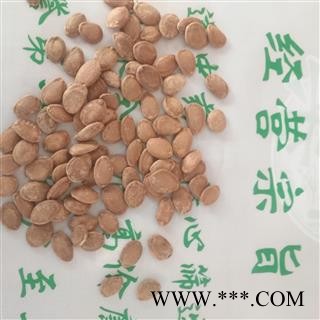 诺源药材行栝楼 瓜蒌  瓜篓子 瓜米图3