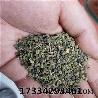 吴茱萸  中花 选货吴萸 茶辣 漆辣子 辣子 臭辣子产地江西赣州图4